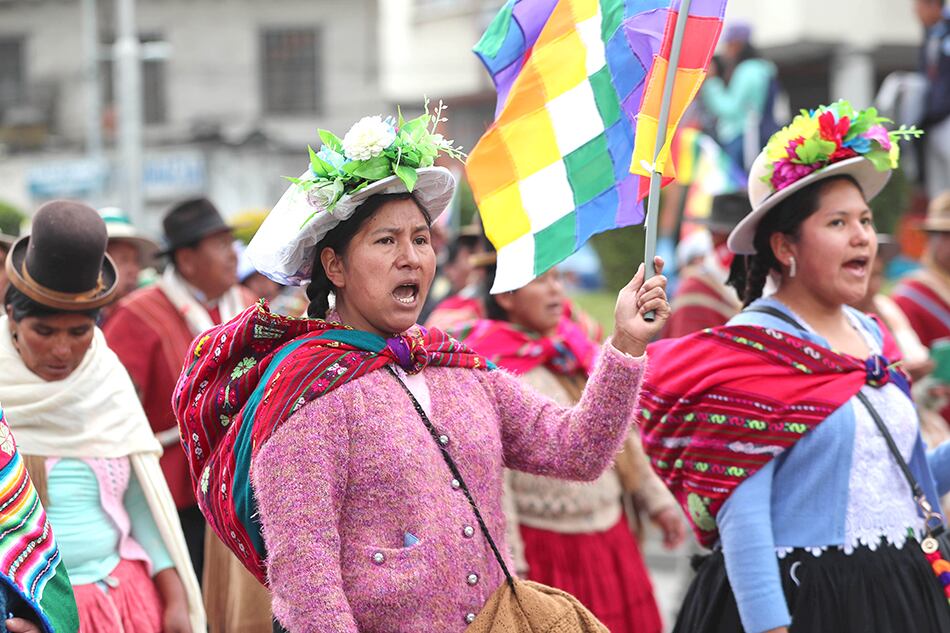 Mujeres marcharon en Potosí en respaldo al presidente Evo Morales.