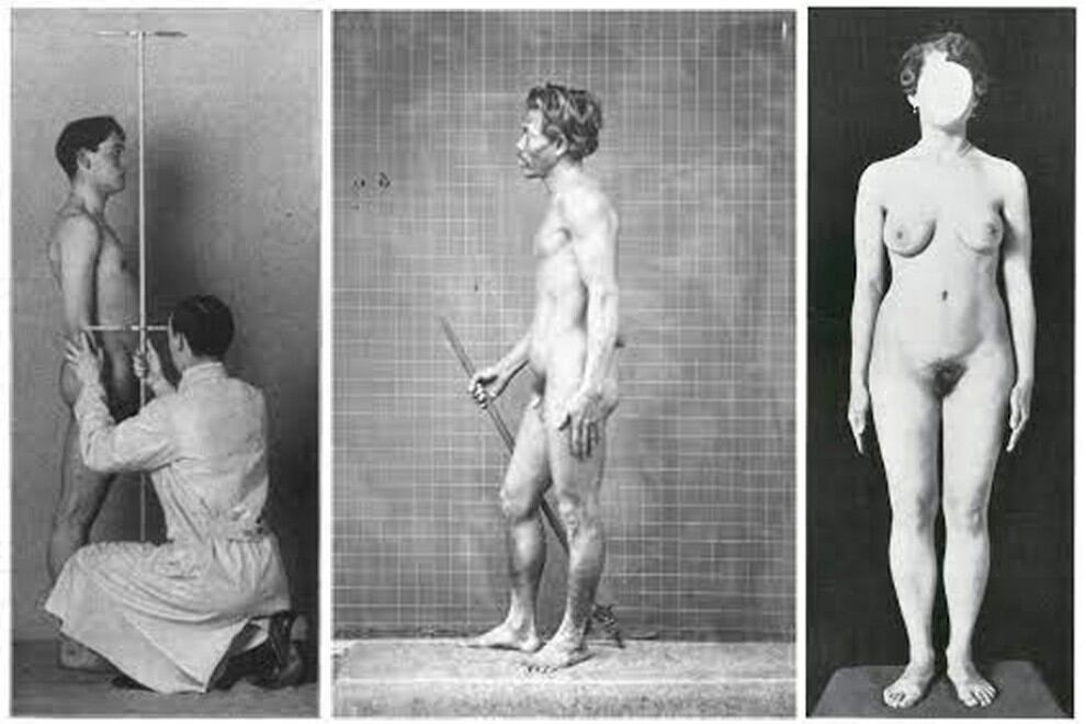 Las mediociones de cráneos y otras partes del cuerpo que realizaba Herman Bernhard Lundborg.