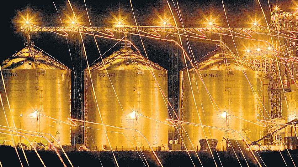 El fondo solidario de la soja debía derivar 41 mil millones de pesos a las provincias en 2019, según la FAM.