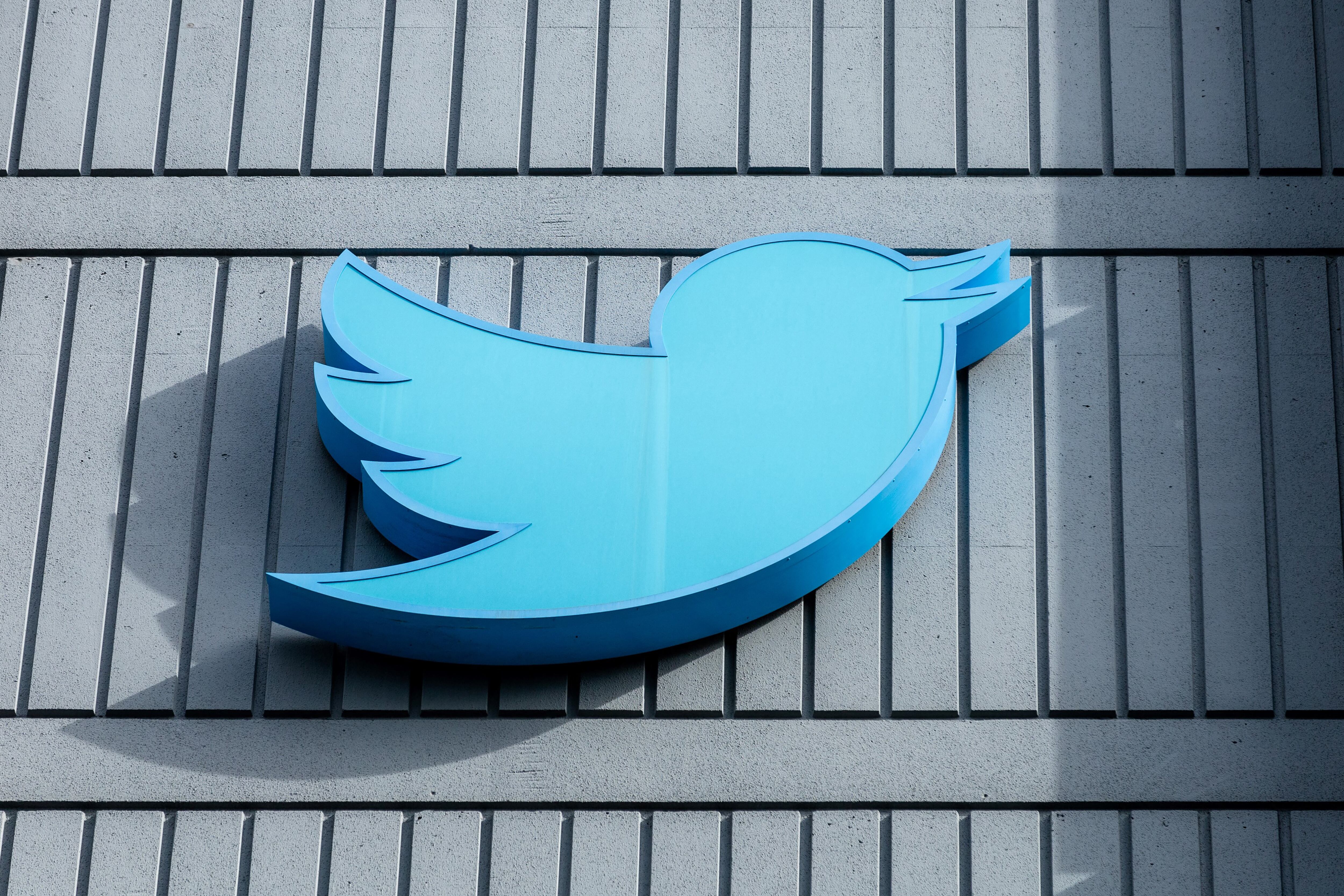 Son casi 3000 los empleados de Twitter que decidieron renunciar tras el últimatum de Elon Musk.