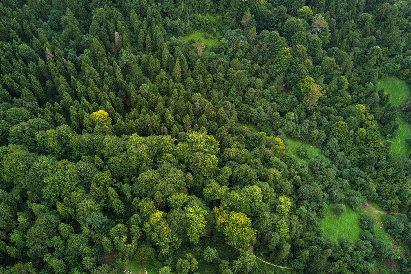 Argentina es un país “ambientalmente superavitario” y uno de los pocos países en el G20 con una huella ecológica positiva.
