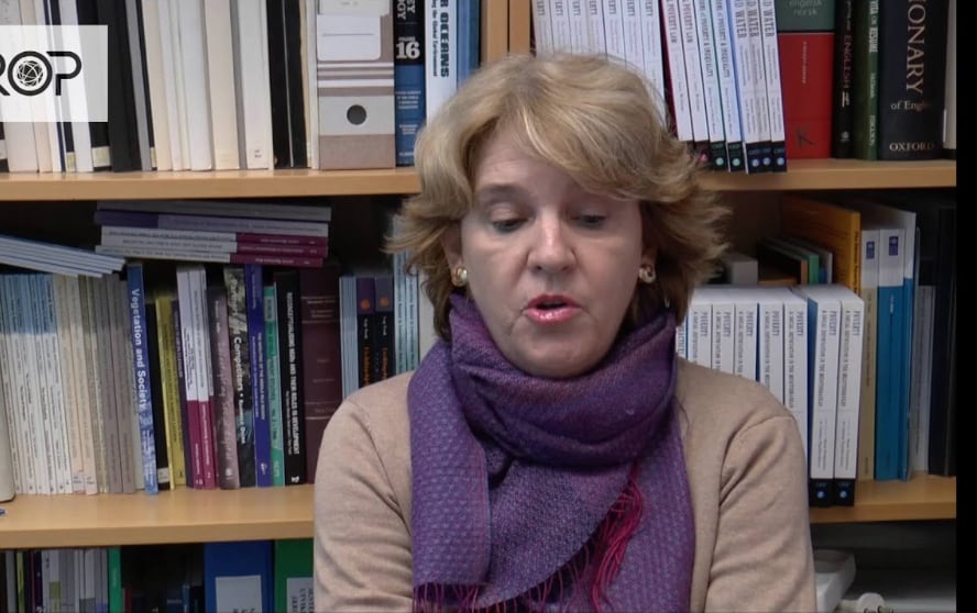 Sonia Alvarez Leguizamón