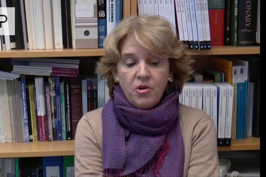 Sonia Alvarez Leguizamón