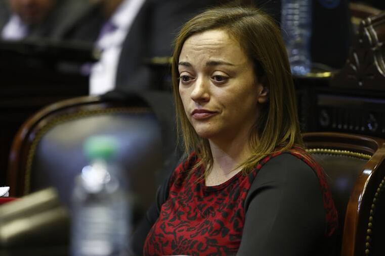 Diputada Cecilia Moreau.