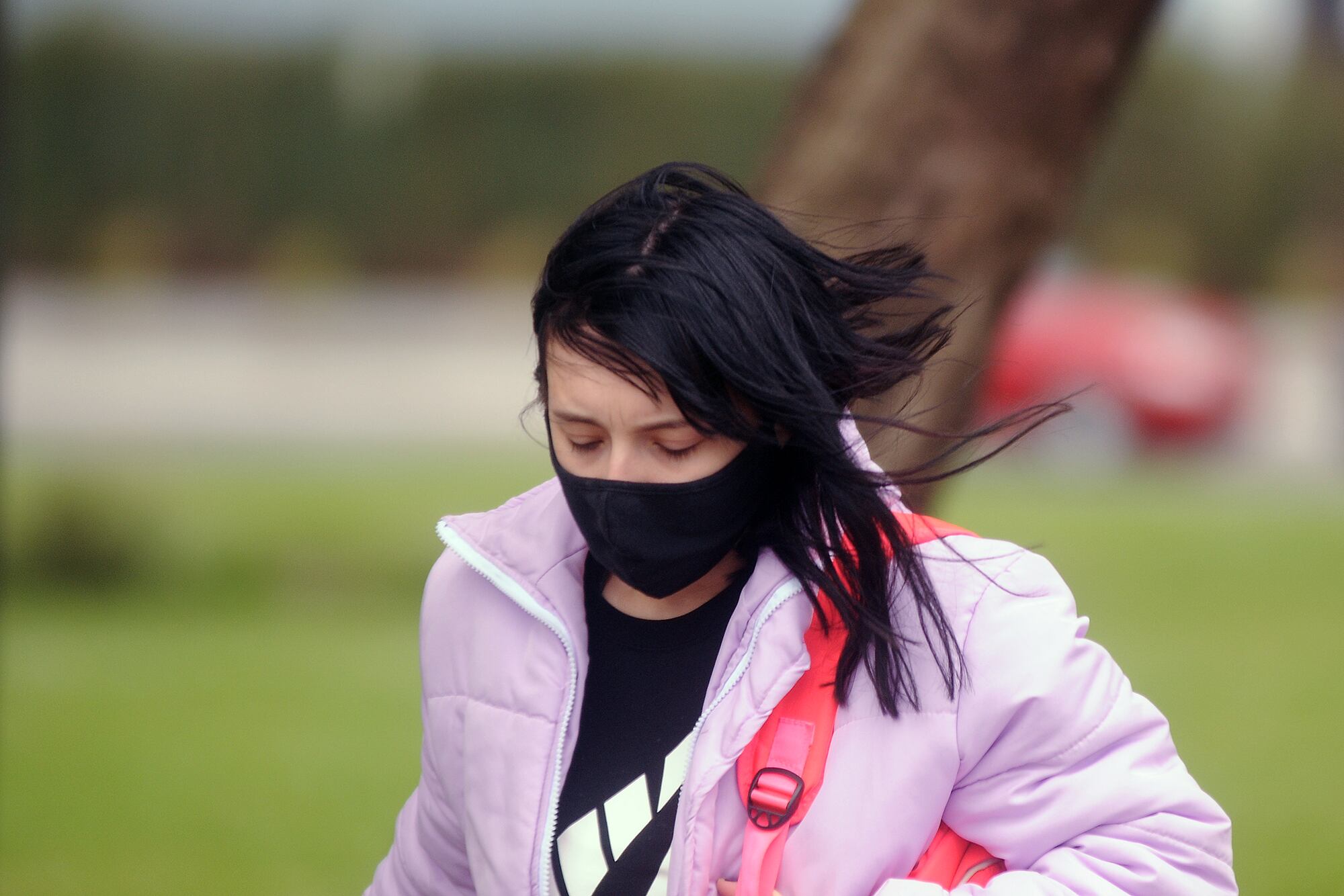 Imagen: Guadalupe Lombardo.