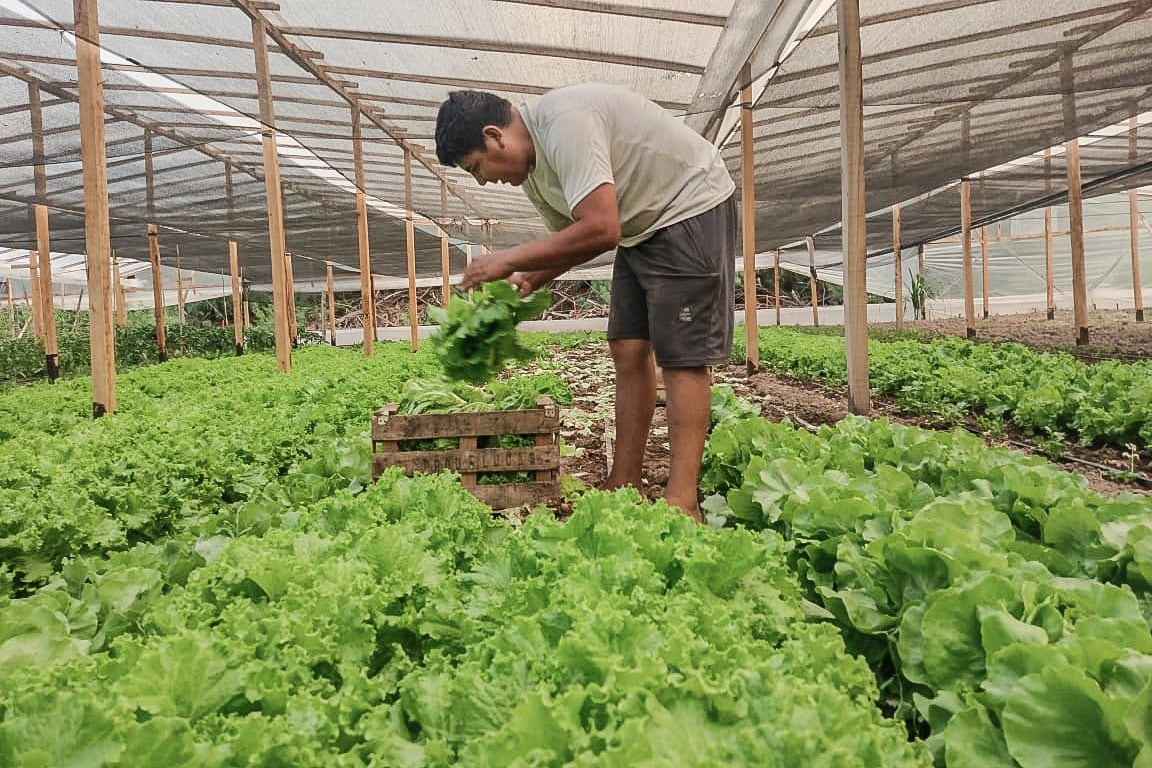 Los productores de alimentos resisten ante la caída general del consumo. 