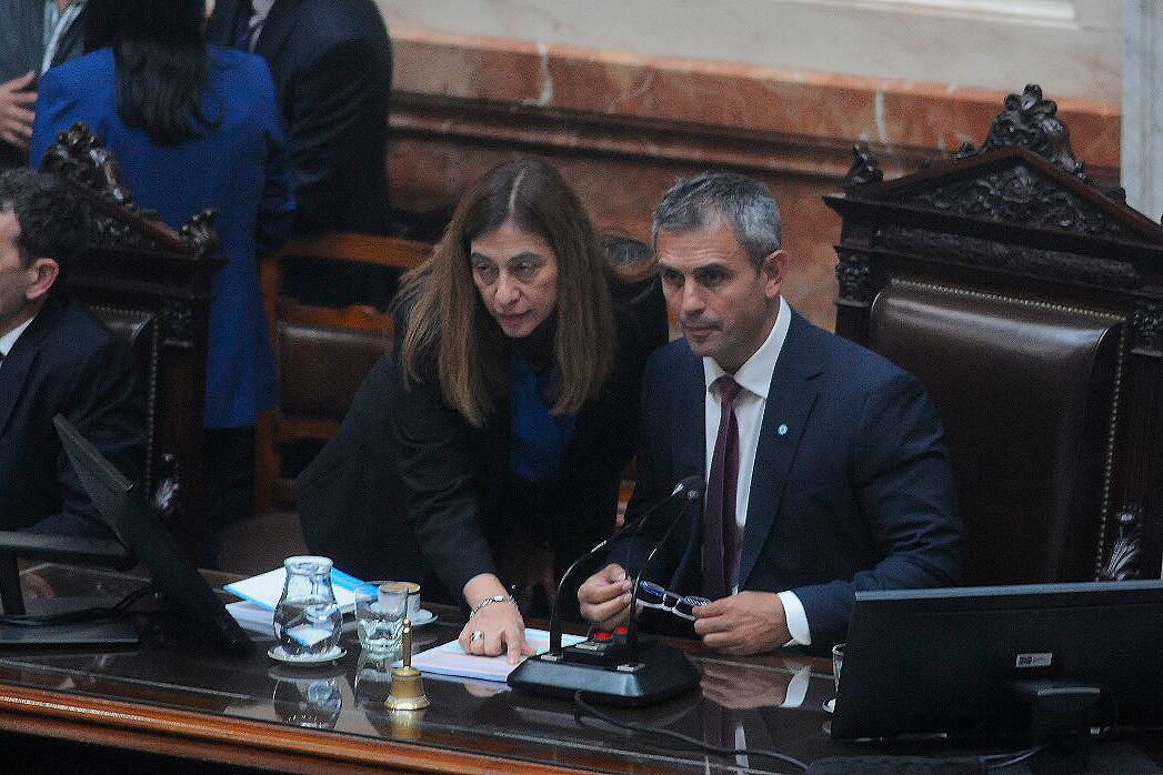 Martín Menem, a cargo de garantizar la impunidad del presidente.