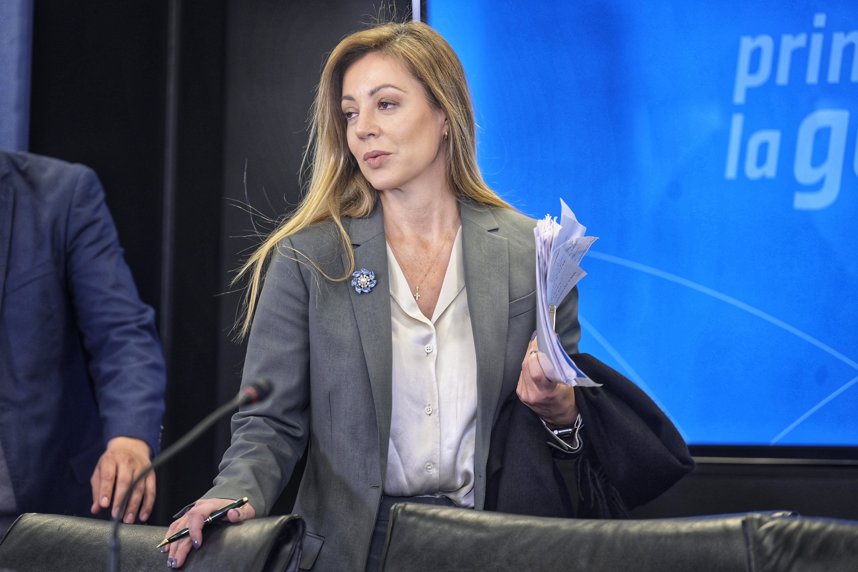 Flavia Royón aseguró que los cortes extensos son todos en el área de Edesur.