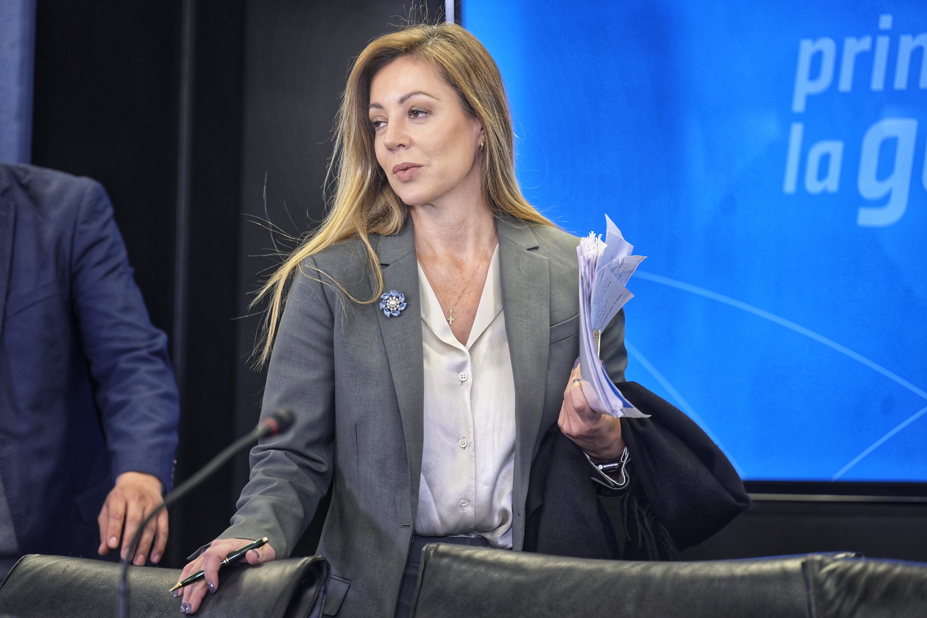 Flavia Royón aseguró que los cortes extensos son todos en el área de Edesur.