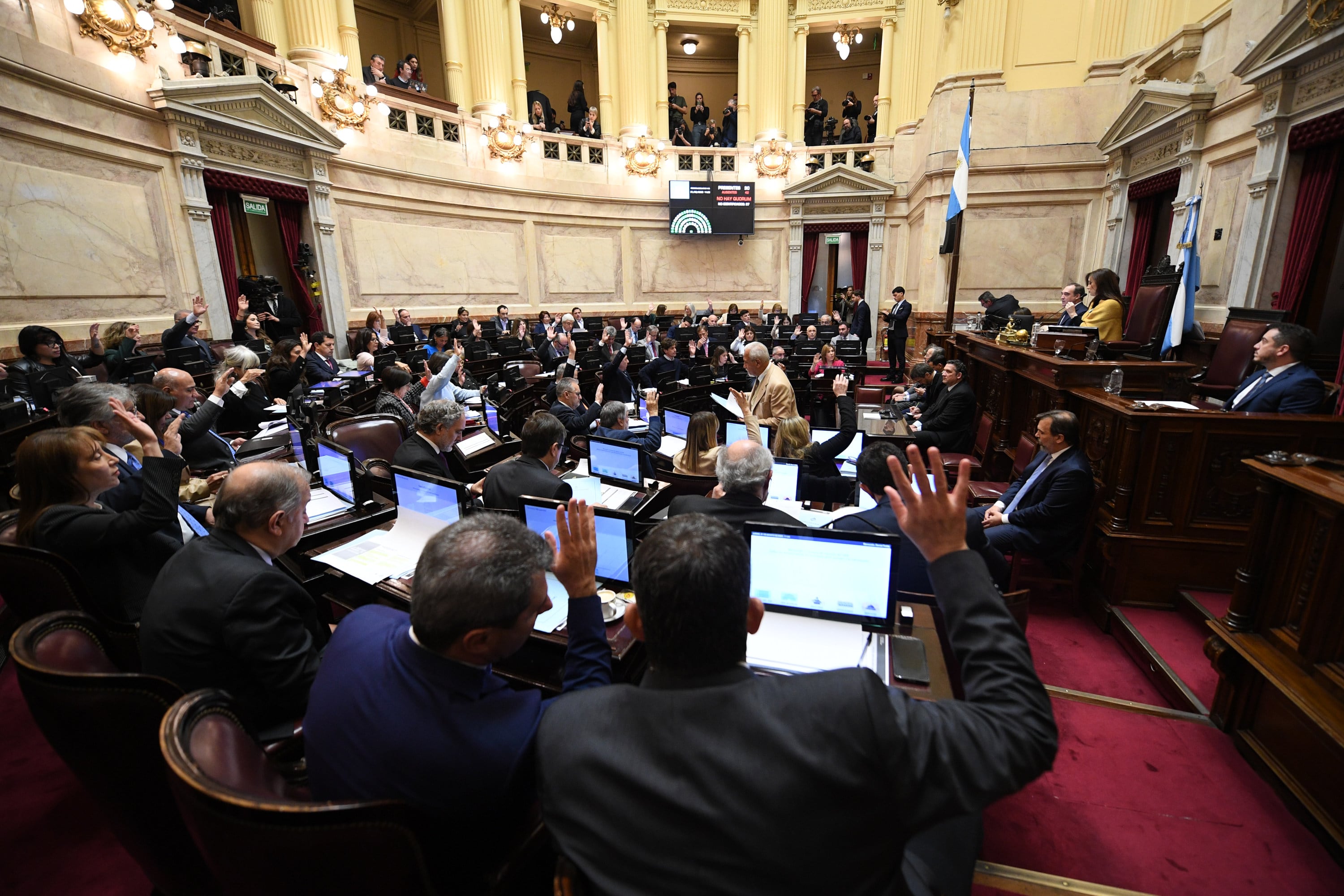 Todos los proyectos que impulsó la oposición en el Senado fueron aprobados. 