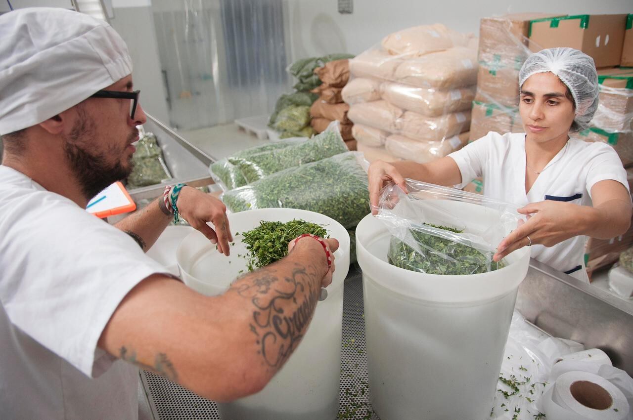 "A nuestras recetas no les falta nada", afirma Juan Manuel Santillán, uno de los creadores del lugar.