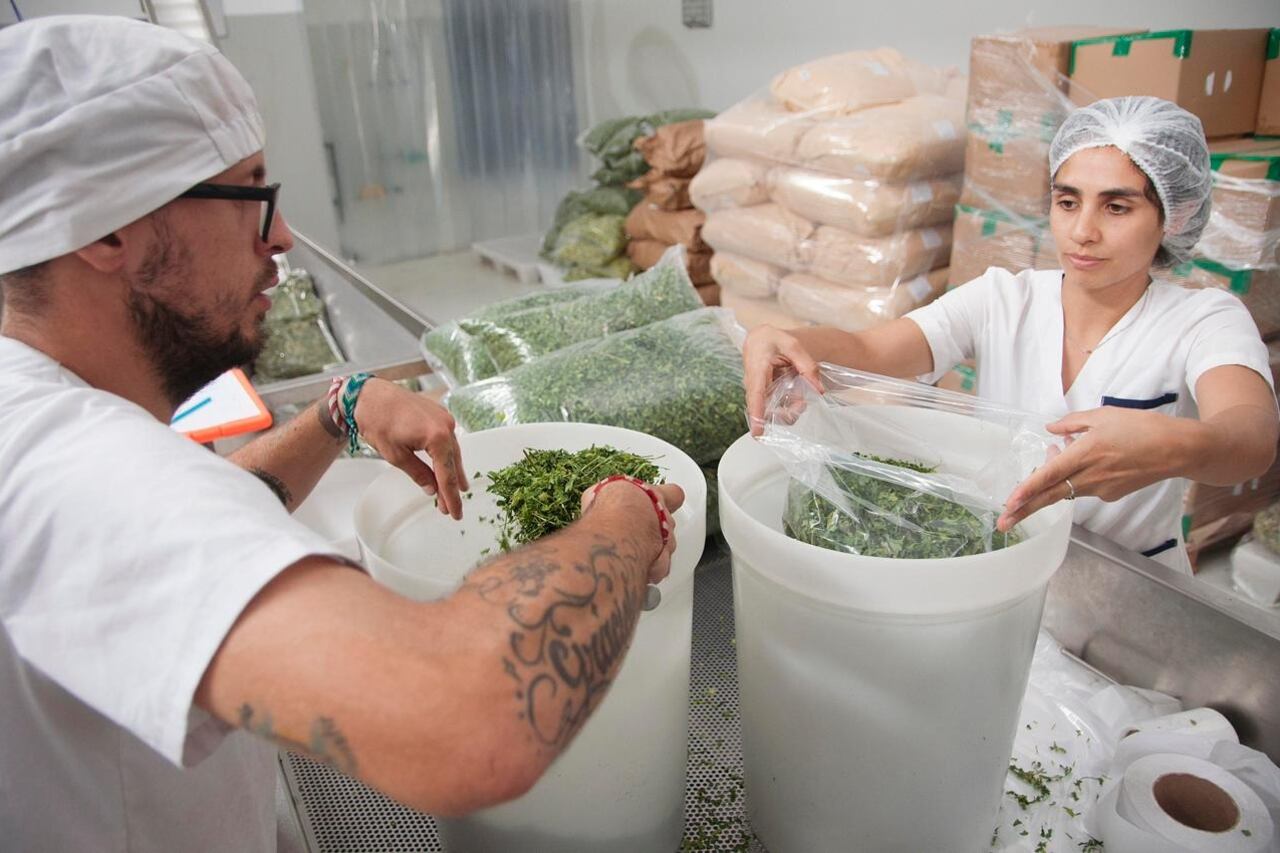 "A nuestras recetas no les falta nada", afirma Juan Manuel Santillán, uno de los creadores del lugar.