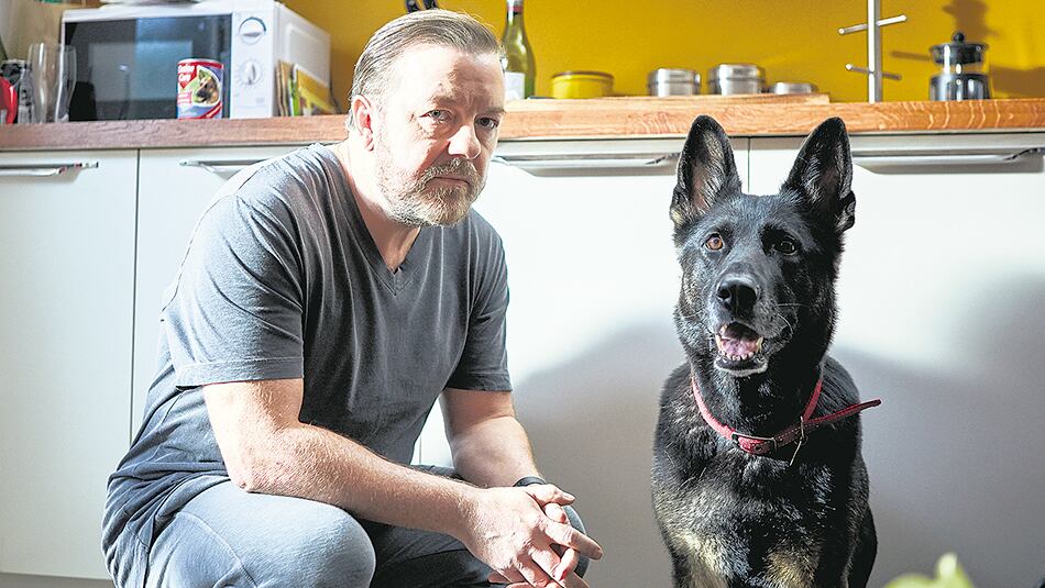 El nuevo producto de Gervais frecuenta temáticas y su estilo reconocible con otro tipo de sensibilidad.