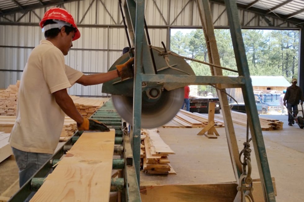 La industria de la madera registra subas de costos del 15 por ciento desde la última devaluación.