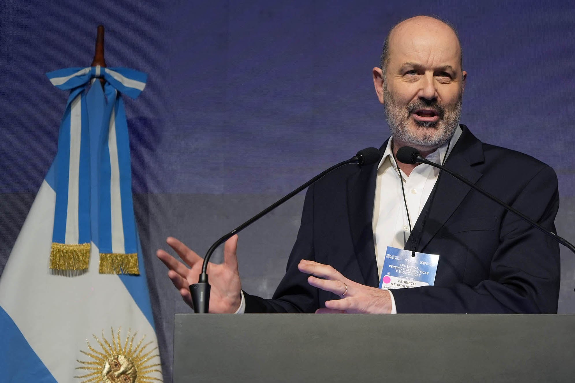 Sturzenegger propone derogar leyes creadas desde 1974 hasta 2007.