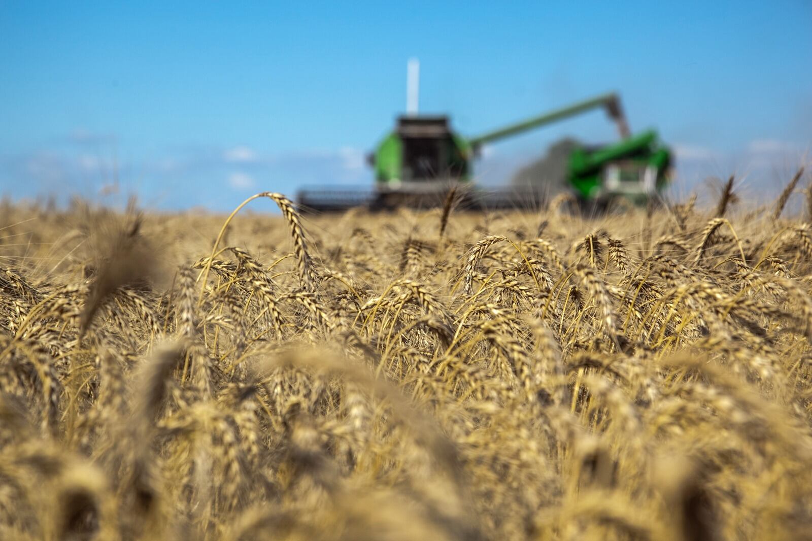 “Los últimos registros pluviales sorprendieron y superaron las expectativas", informó la Bolsa.