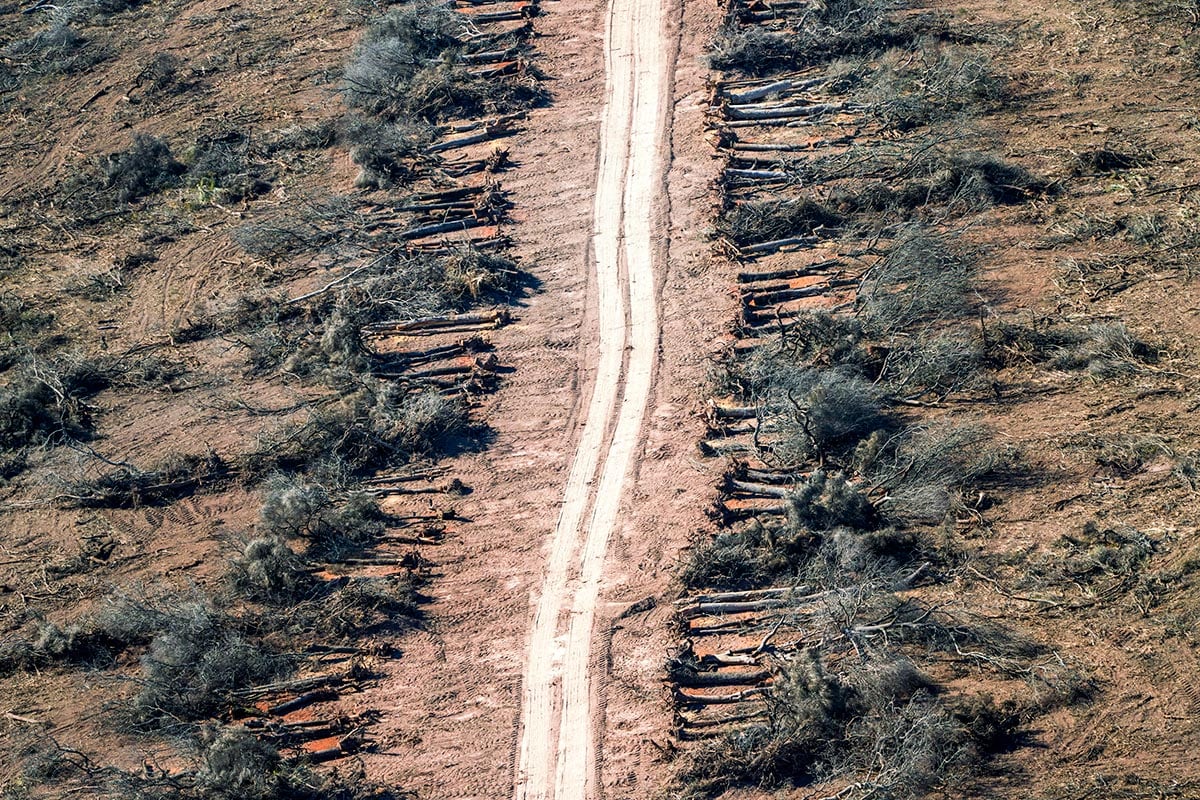 En Chaco se comete un ecocidio.