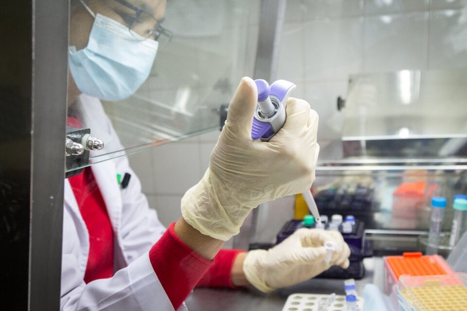 El Instituto ANLIS-Malbrán detectó el quinto caso de viruela del mono en el país.