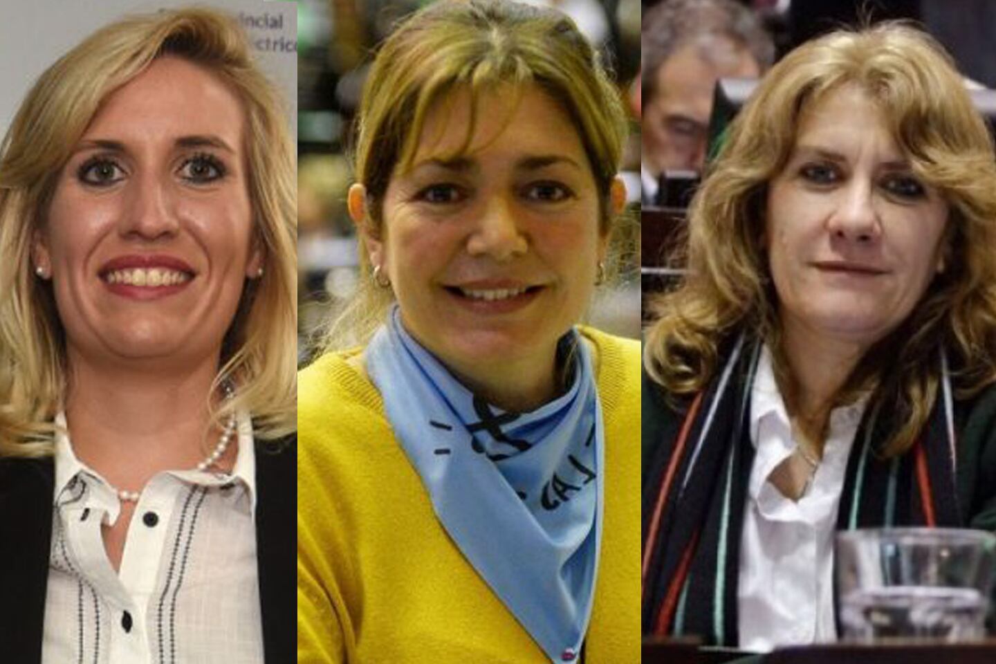 Jimena Latorre, Estela Regidor y Alejandra Lordén: las tres miradas de la UCR sobre la legalización del aborto.