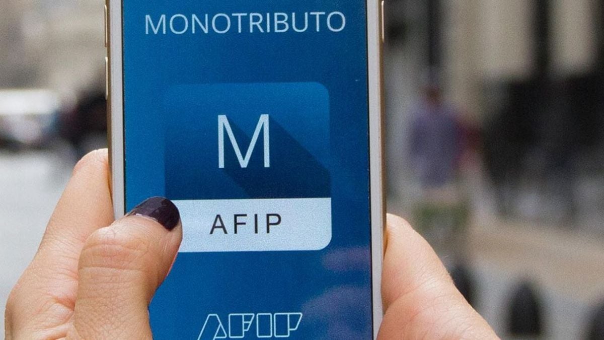 El nuevo facturador de la AFIP busca agilizar los trámites para los monotributistas categorías A, B y C y sociales. 