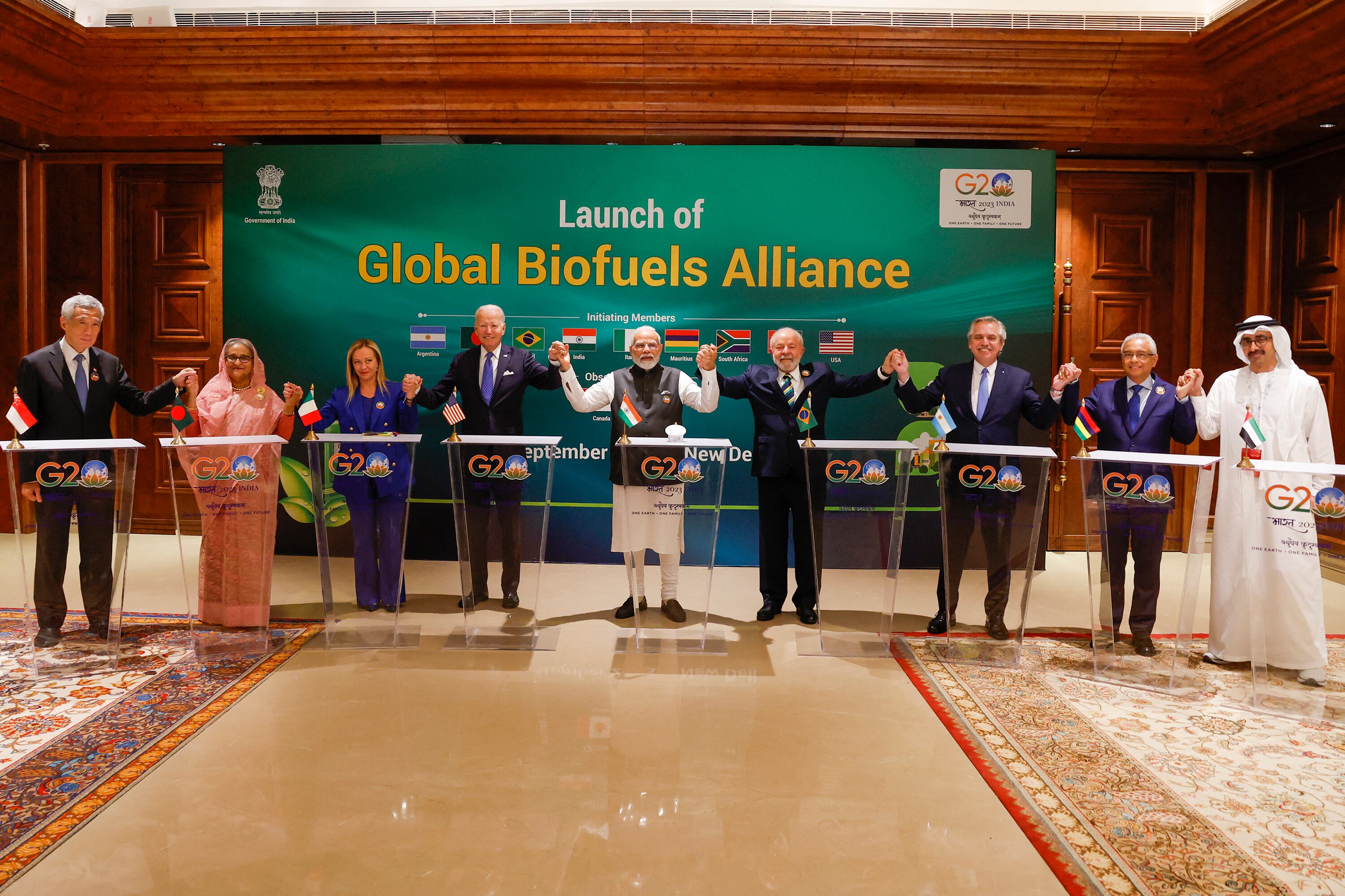 Fernández junto a Joe Biden, Narendra Modi y Lula da Silva, entre otros jefes de Estado.