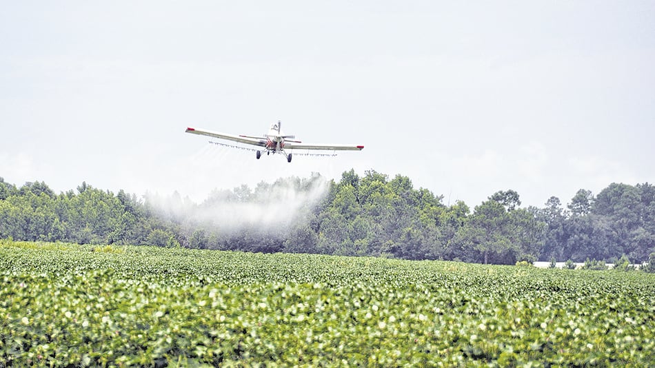 El juez propuso que el Estado “comience a planificar un cambio de cultura productiva”.