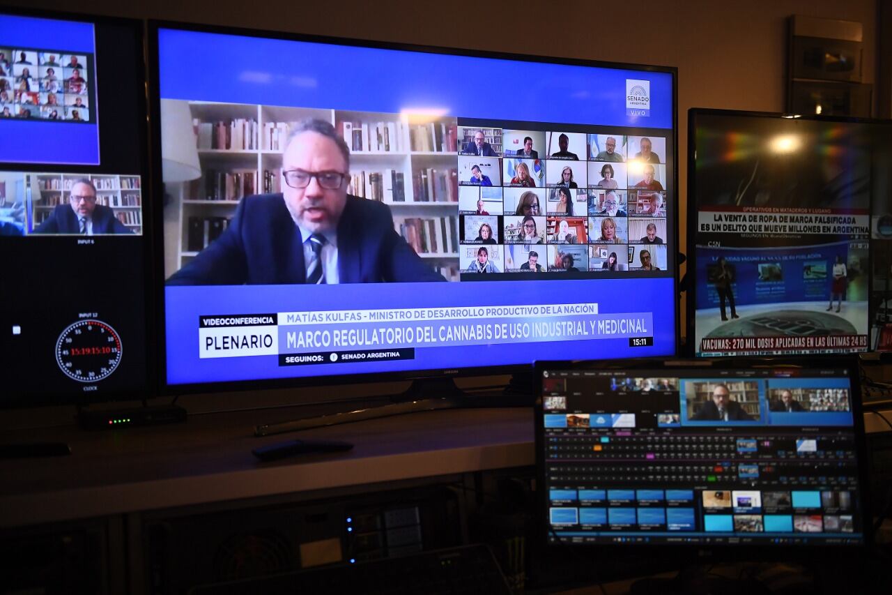 Kulfas expuso en el plenario de comisiones del Senado.