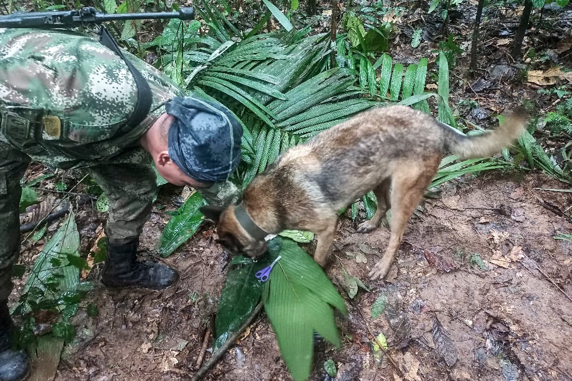 Policías rastrean los objetos de los sobrevivientes