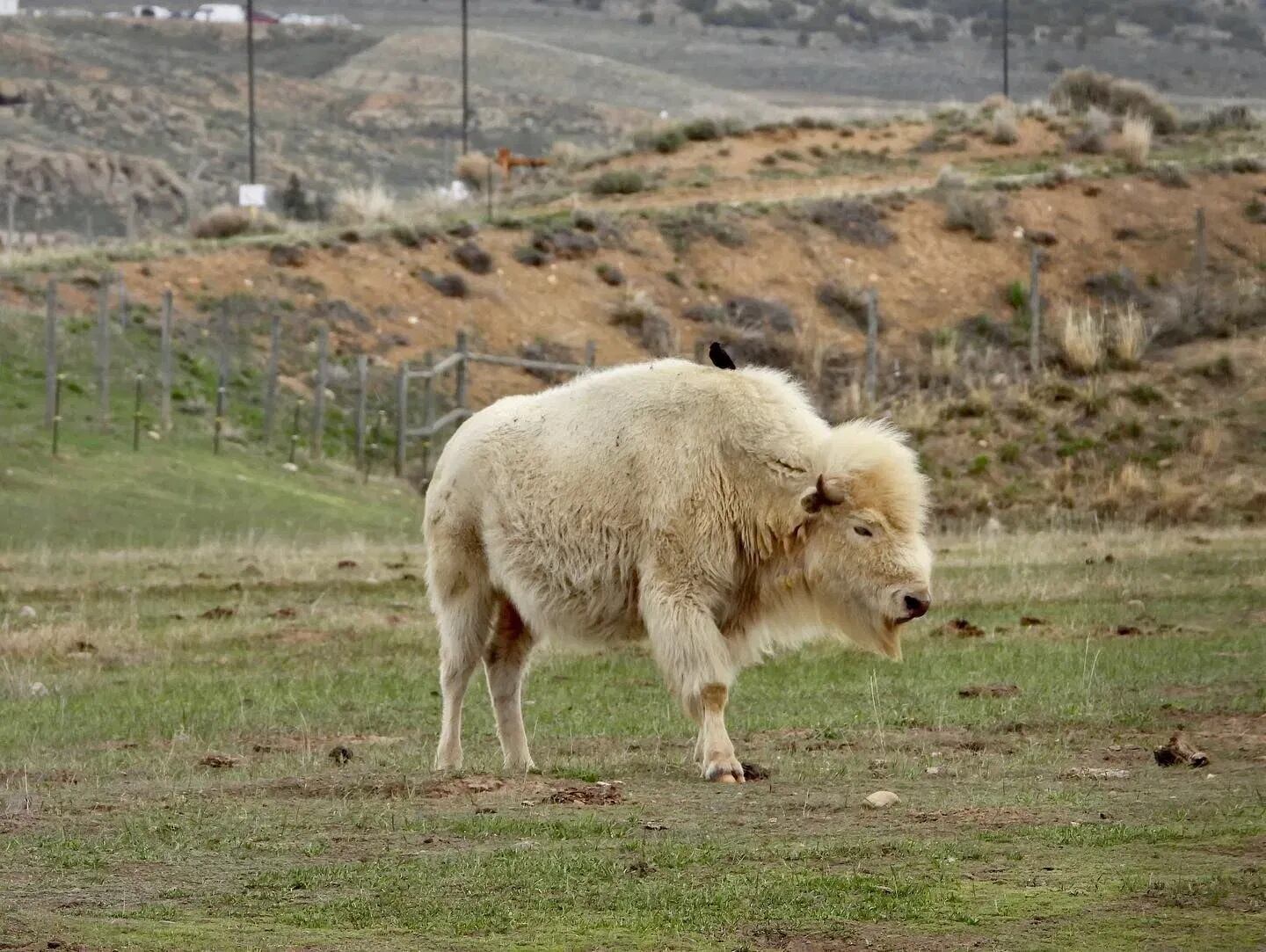 Imagen: Wyoming States Park