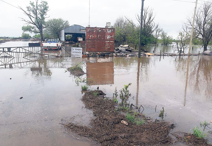 Las autoridades de los municipios enfatizaron la necesidad de implementar operativos sanitarios.