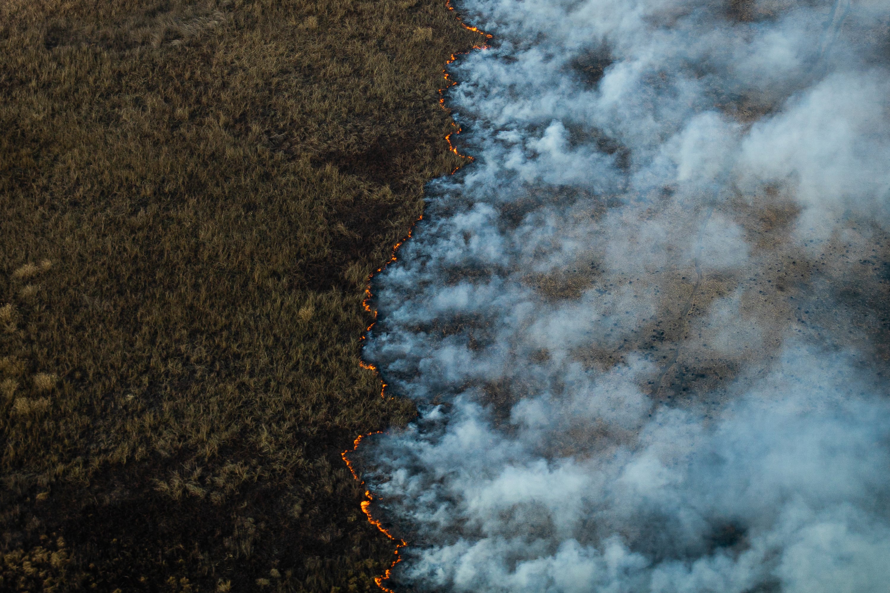 La imágen del avance del fuego en los humedales de Entre Ríos es la tapa del anuario de ARGRA.