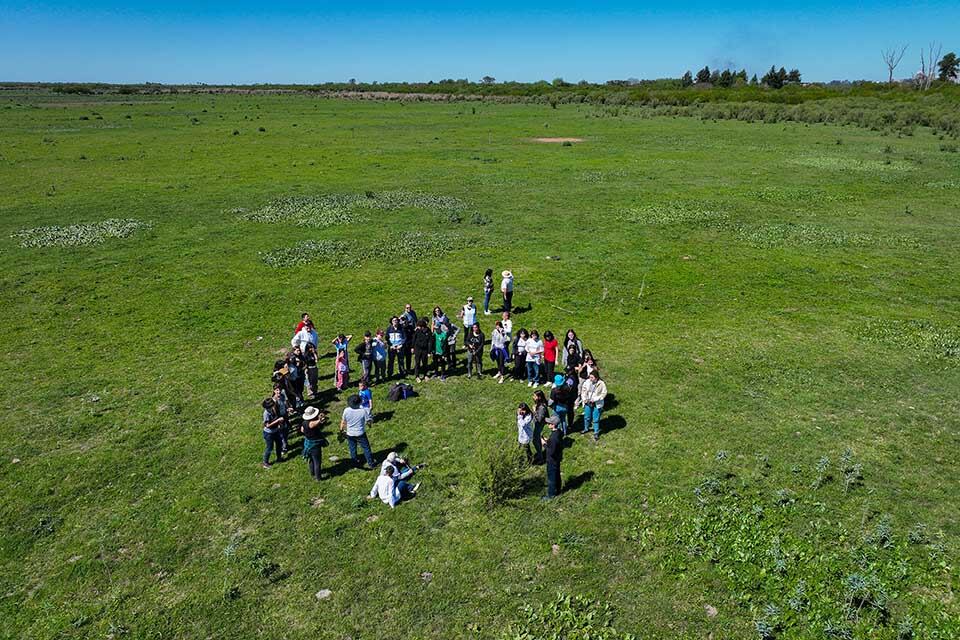 Cómo abordar problemáticas ambientales complejas.
