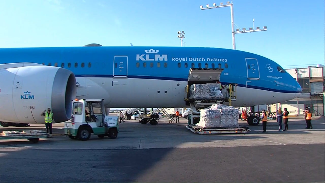 Las dosis arribaron este domingo en un vuelo proveniente de Holanda.