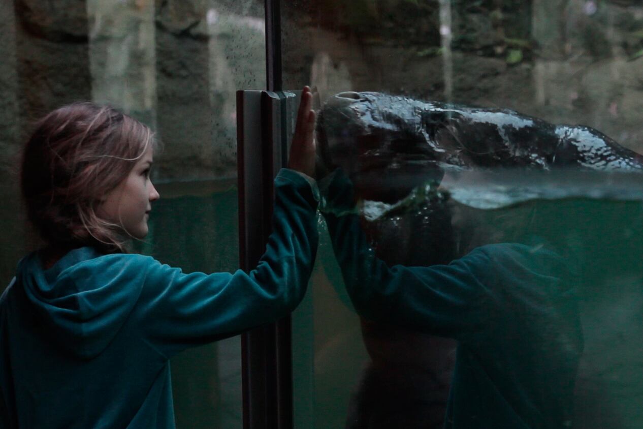 El rostro de la medusa, de Melisa Liebenthal, está en la Competencia internacional. 
