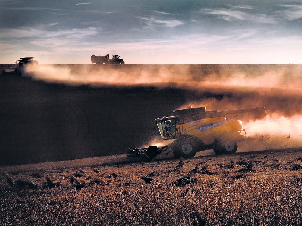 La producción agropecuaria aumentó el valor de su producción por la devaluación y la quita de retenciones, pero no por mayor volumen fisico.