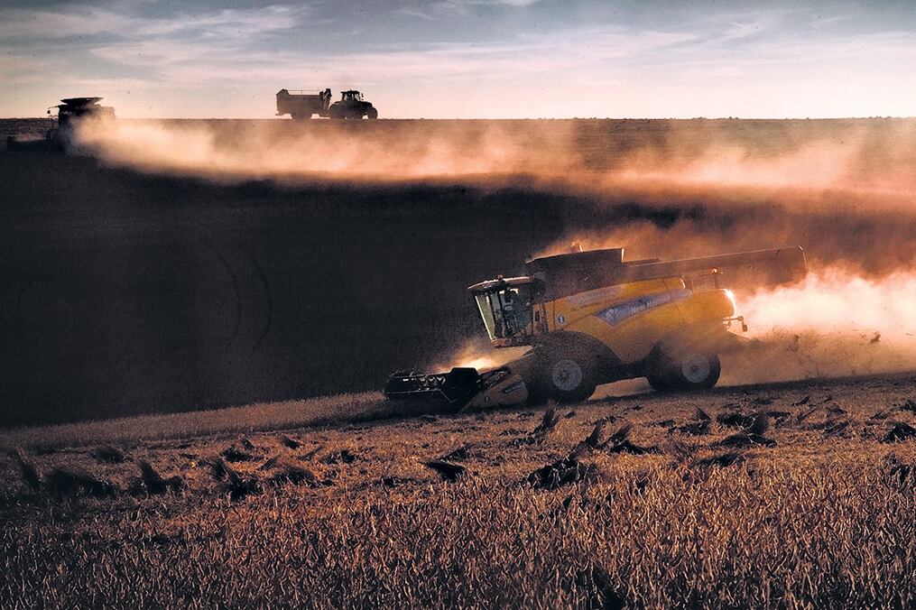 La producción agropecuaria aumentó el valor de su producción por la devaluación y la quita de retenciones, pero no por mayor volumen fisico.