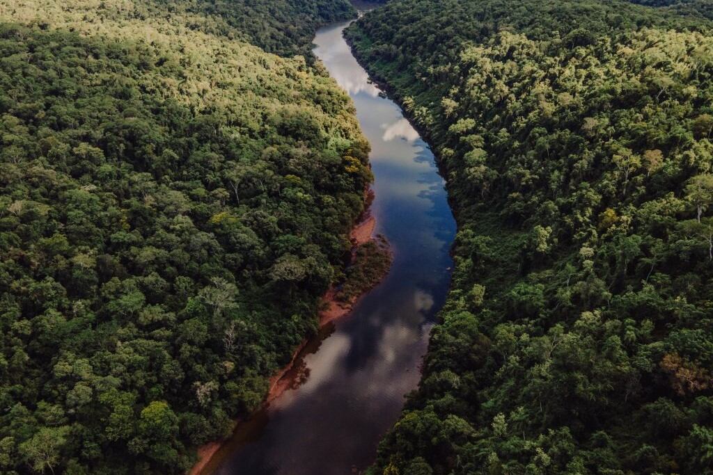 Fue como retribución a la reducción en la deforestación en el Parque Chaqueño, la Selva Tucumano Boliviana, en el Espinal y la Selva Misionera. 