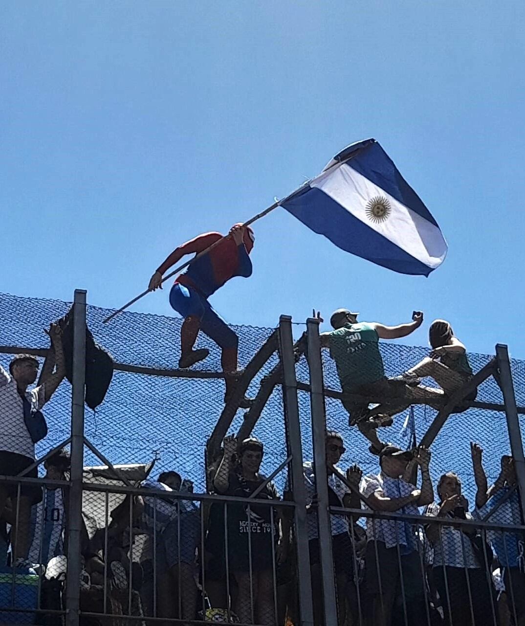 Alta en el cielo, un araña guerrera, por @ju4n.chi.