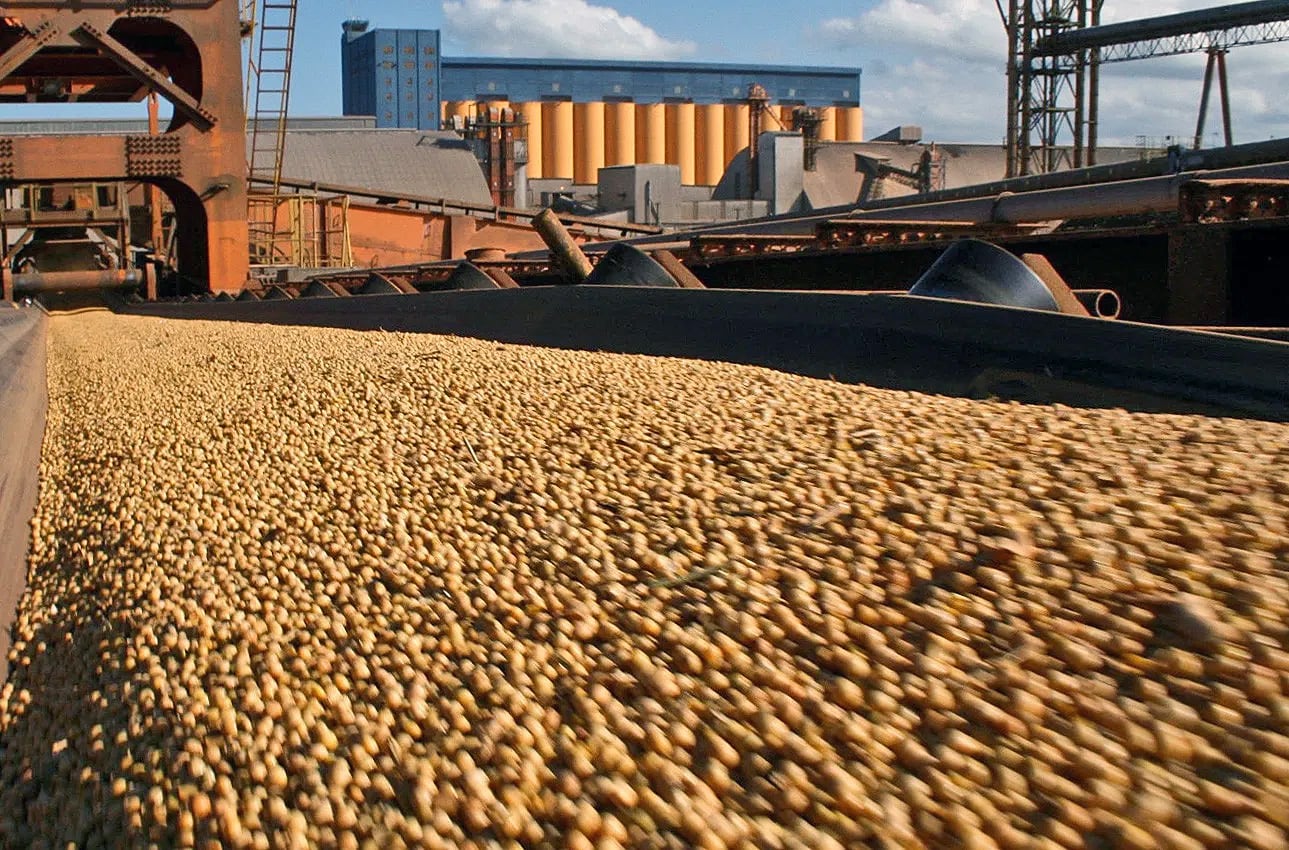 Durante agosto las empresas del sector liquidaron la suma de 1746 millones de dólares.