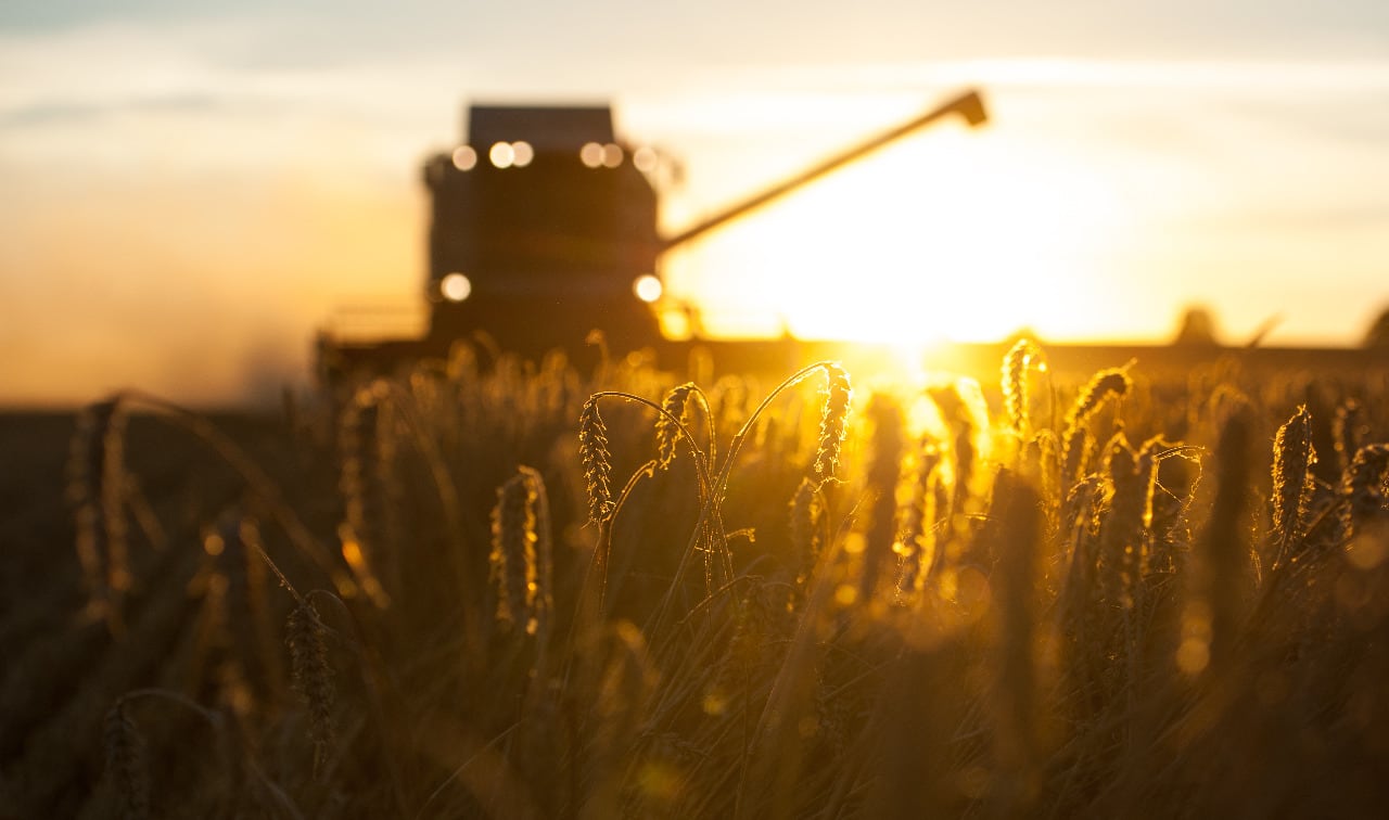 El agro argentino se caracteriza por tener propietarios herederos.