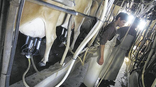 En el sector estiman que la oferta se reducirá entre 6 y 8 por ciento en el mercado local.