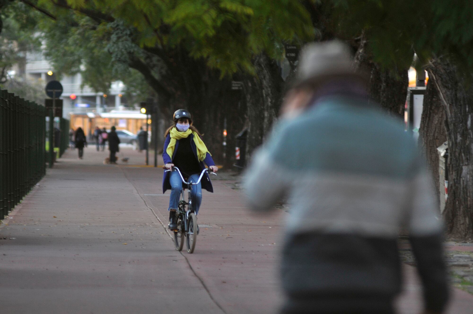 Imagen: Sandra Cartasso