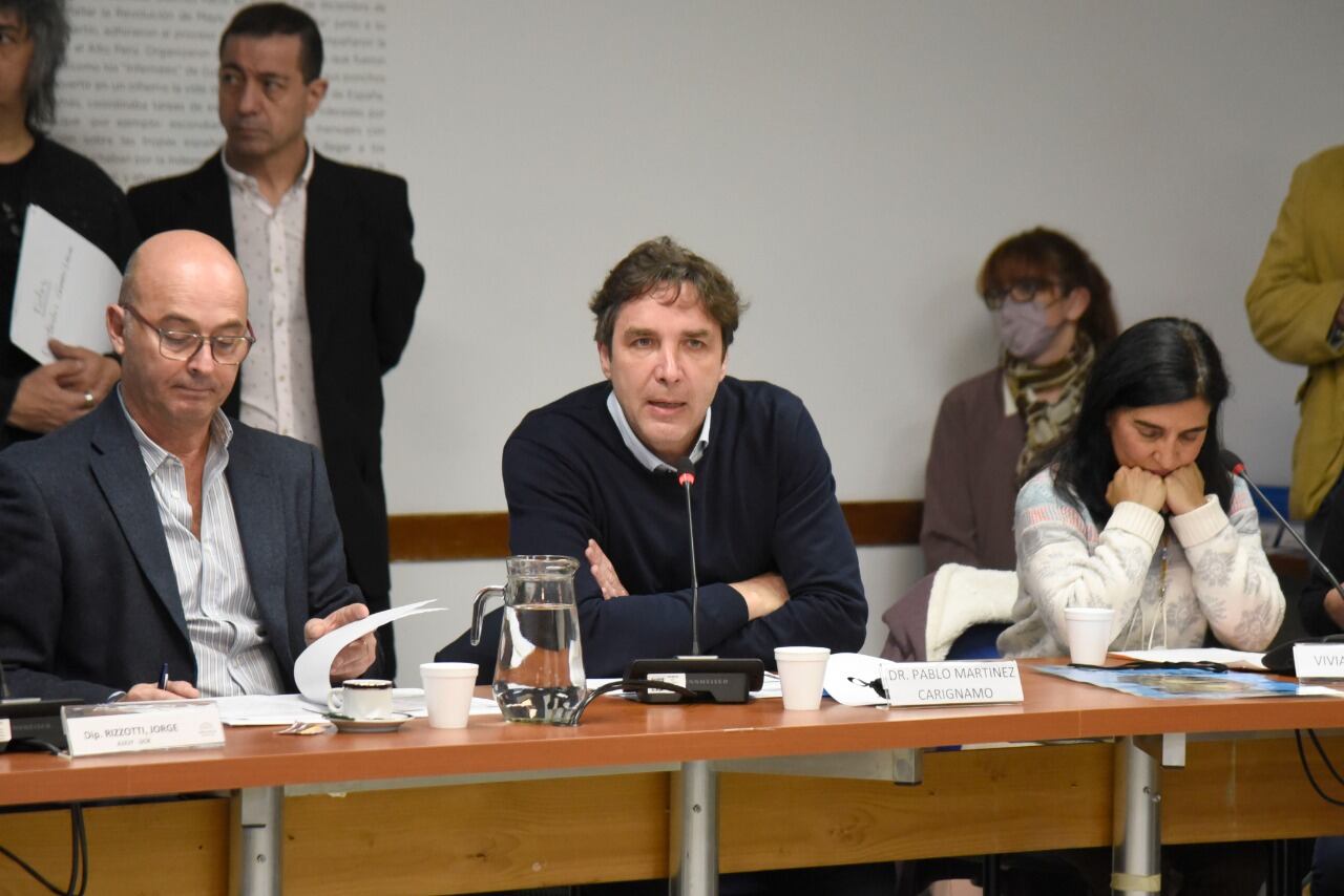 Carignano y Perrone, en su exposición en la comisión de Transportes. 