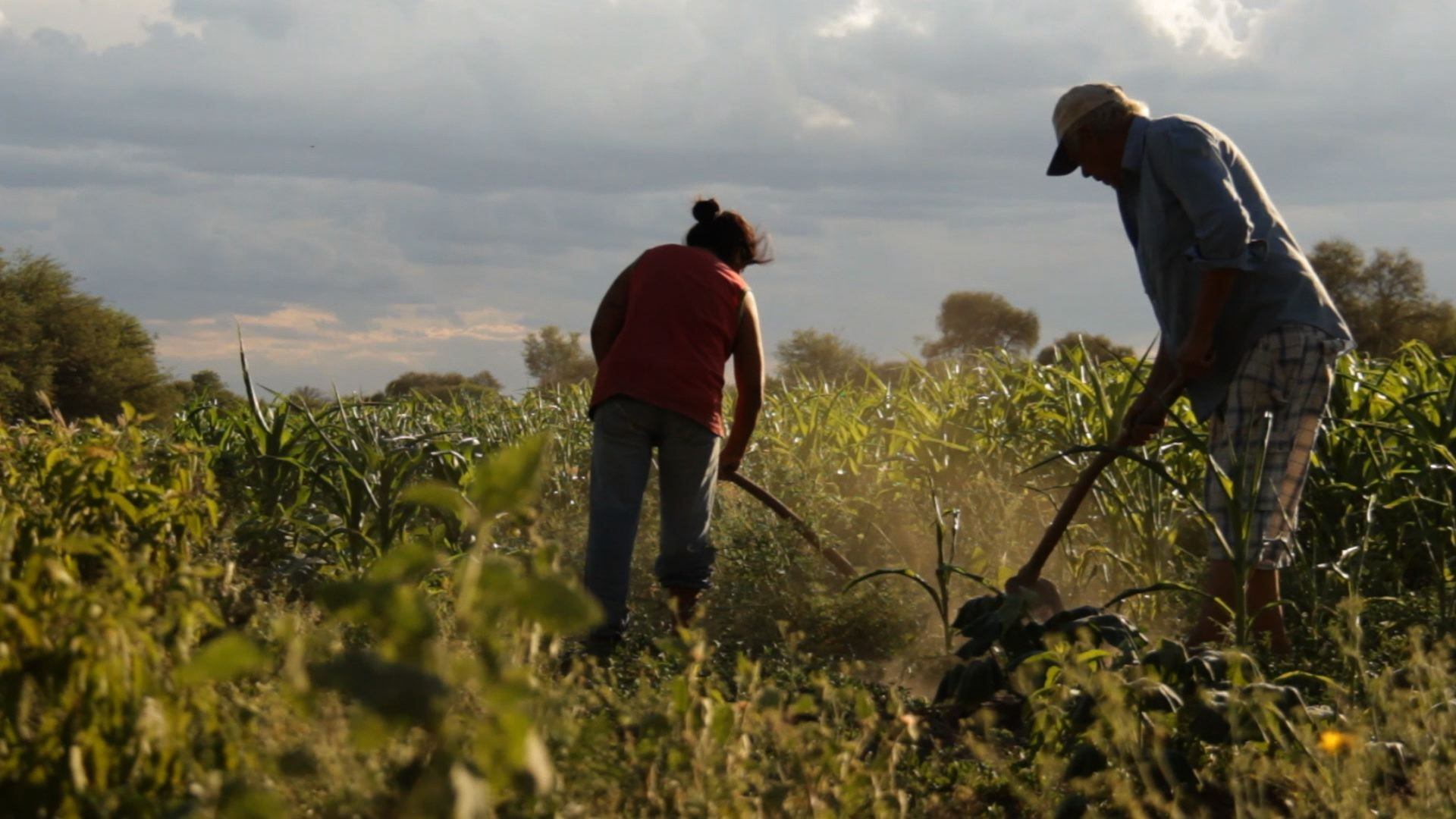 Los campesinos luchan en Santiago del Estero contra los terratenientes.