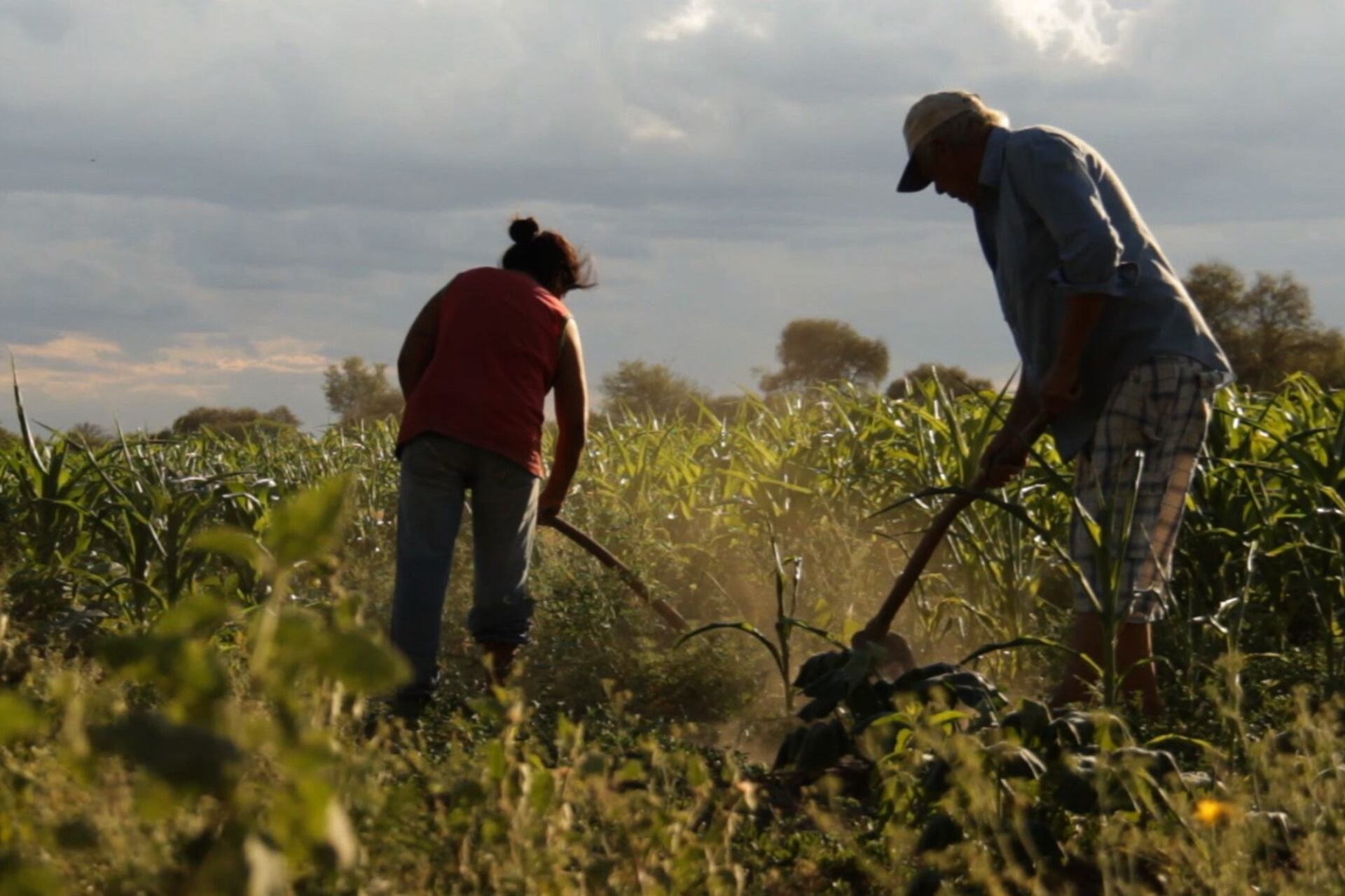 Ferreyra y Galván campeaban y militaban; el Mocase denuncia que los mataron sicarios de empresarios locales.