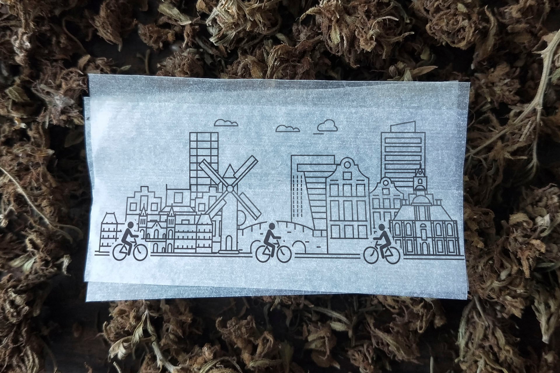 Las tendencias juveniles se cruzan en el mainstream europeo, entre cogollos gourmet, creadores de contenido y ropas ecológicas