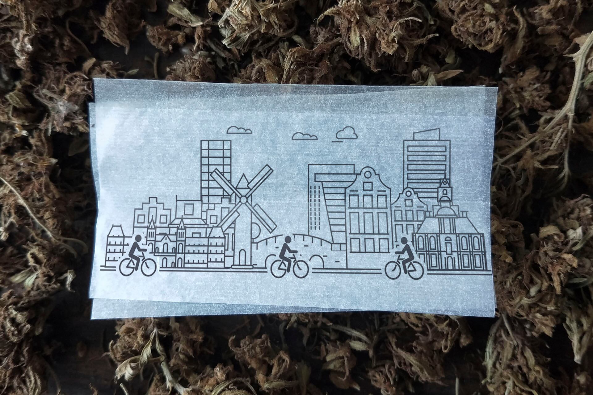 Las tendencias juveniles se cruzan en el mainstream europeo, entre cogollos gourmet, creadores de contenido y ropas ecológicas