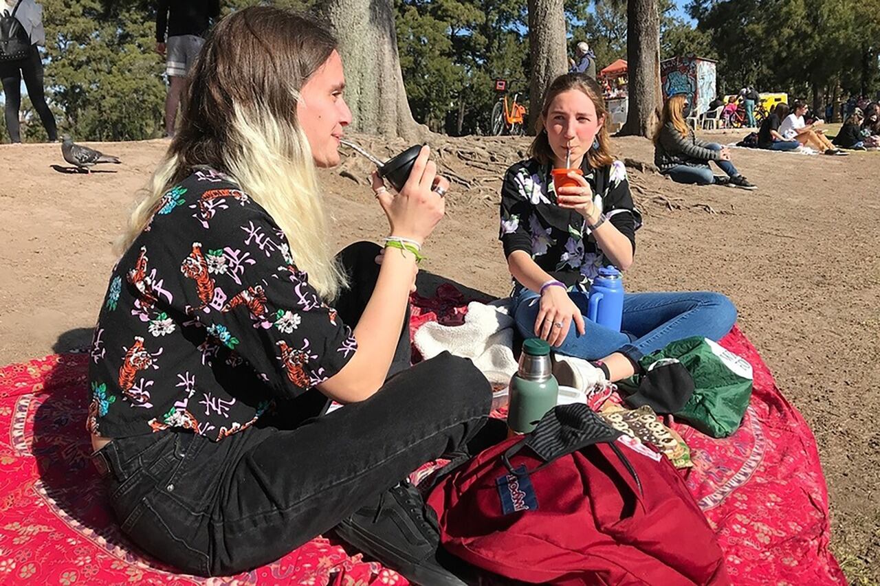 El mate tiene benificios como para la salud emocional y la salud clínica. Incluso protege del Parkinson.