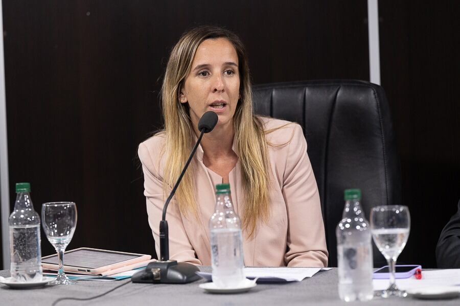 Lucía Iañez, diputada provincial de Unión por la Patria.