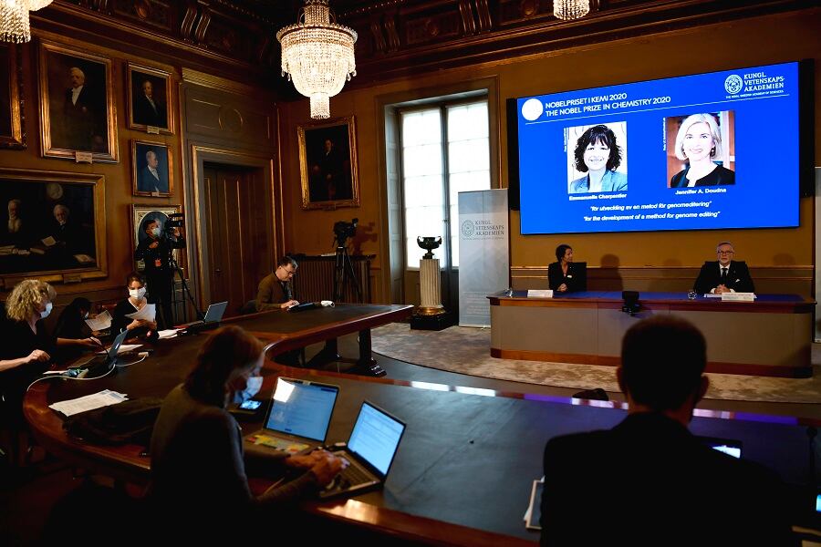 Con las tijeras genéticas CRISPR-Cas9 los investigadores pueden cambiar el ADN de animales, plantas y microorganismos con una precisión extremadamente alta.